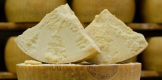 Grandi Salumifici Italiani e Parmareggio insieme per “Bonterre”, grande holding dell’alimentazione