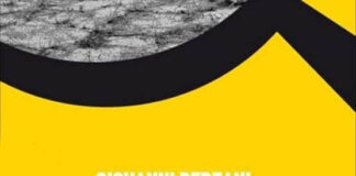 “Il Grisbì” #lettipervoi lo spassoso giallo di Giovanni Bertani