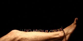 Il teatro di figura è Impertinente #Inscena la sesta edizione del Festival a Parma dal 23 al 31 marzo