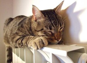 Calo delle temperature, prorogati i termini per l’accensione degli impianti di riscaldamento