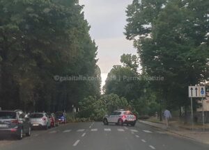 Maltempo a Parma, alberi caduti su via San Michele