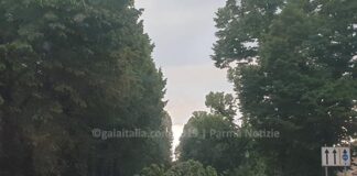 Maltempo a Parma, alberi caduti su via San Michele