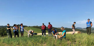 Liberato un rarissimo esemplare di Aquila dei Serpenti (Biancone) salvata in giugno dall’associazione Polizia di Stato. Il video