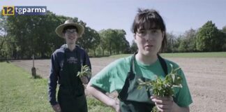 Agrosvoltare Hub, apicoltura per il reinserimento sociale