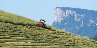 Dissesto del territorio in Appennino, foreste, giovani imprenditori e innovazione: 22 milioni dal Programma di sviluppo rurale 2014-20 e altri due milioni dalla Regione