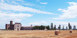 Parma, lo CSAC riapre gli spazi dell’Abbazia di Valserena con l’installazione di Massimo Bartolini “On Identikit”. Dal 16 febbraio al 22 marzo
