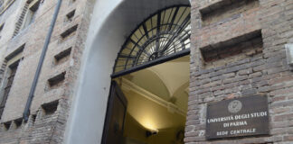 Dall’8 all’11 settembre l’Università di Parma organizza la Italian Conference on Optics and Photonics (ICOP2020)