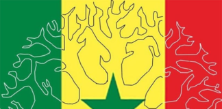 La Comunità Senegalese di Parma dona 2.000 euro all’Ospedale