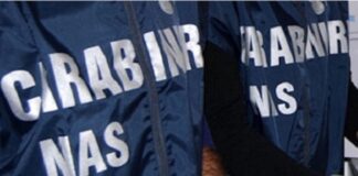 I NAS di Parma sequestrano alimenti per animali da compagnia in un bazar-etnico