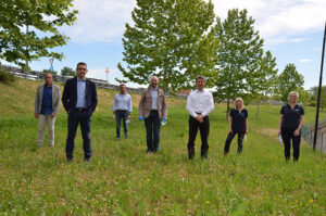 Progetto di forestazione lungo la tangenziale Nord di Parma, grazie agli alberi donati da Lanzi Trasporti