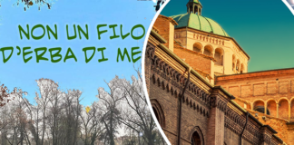 “Compra Sotto Casa” e “Non un filo d’erba di meno”, le iniziative dei comitati Civici