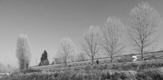 Allerta gelo a Piacenza. Pronto il piano per la salatura preventiva delle strade
