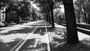 Per i Comitati Parma in Centro e Cittadella per Parma le nuove ciclabili sono un “Insulto al buon senso”