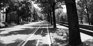 Per i Comitati Parma in Centro e Cittadella per Parma le nuove ciclabili sono un “Insulto al buon senso”