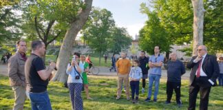 Il verde in Città, consigli di Stefano Lorenzi, arboricoltore certificato ETW