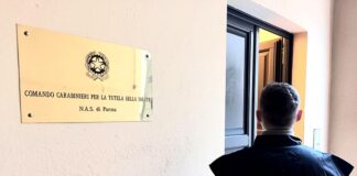 Carabinieri NAS Parma: gravi violazioni igieniche bar a a Felino (PR)