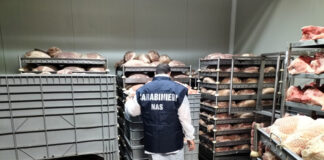 Irregolarità igienico-sanitarie. I NAS sanzionano un ristorante