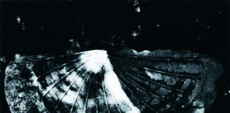 Vasco Ascolini, Capitali della Cultura. Immagini e incarichi dei più prestigiosi musei del mondo