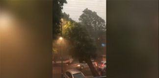 Maltempo. Un morto nel piacentino, tromba d’aria su Cremona