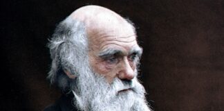 25 novembre: Parma Darwin Day 2022 “Viaggi di naturalisti intorno al mondo”