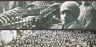 A Piacenza “Donne: lavoro e arte”. Alla Passerini Landi una mostra ripercorre il protagonismo e l’impegno femminile