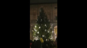 Parma ha acceso l’albero di Natale 2023 #videonotizia