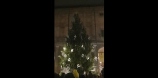 Parma ha acceso l’albero di Natale 2023 #videonotizia