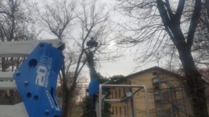 Sono arrivati per Sant’Ilario i corpi illuminanti nel Parco della Cittadella, a quando la cura delle altre zone verdi del Quartiere Cittadella?