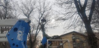 Sono arrivati per Sant’Ilario i corpi illuminanti nel Parco della Cittadella, a quando la cura delle altre zone verdi del Quartiere Cittadella?