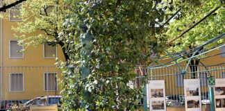 Rinnovato il giardino di Villa Ester nella memoria di Claudia Avanzini Marchelli