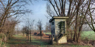 Piacenza. Parco del Trebbia, sistemazione e pulizia dell’area attrezzata