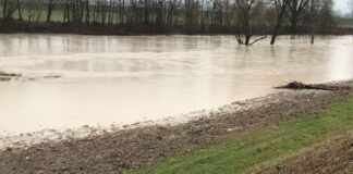 Sabato 10 giugno raccolta rifiuti nel greto del torrente Parma