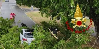 Maltempo. La Regione stanzia 3 milioni di euro per cittadini e attività economiche danneggiati dagli eventi di sabato 22 luglio