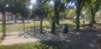 Koda o Kenai? Cosa è accaduto al Parco Bramante a Parma