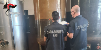 Controlli dei NAS sulla produzione di vino. Sanzioni e segnalazioni