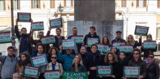 + Europa e Radicali. L’unica soluzione è la legalizzazione