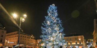 La Città di Parma ha acceso il suo Albero di Natale