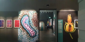 “Impronte. Noi e le piante”, Parma, dal 13 gennaio al 1° aprile 2024 al Palazzo del Governatore