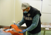 I NAS di Parma sequestrano prodotti di carnevale ed elevano sanzioni