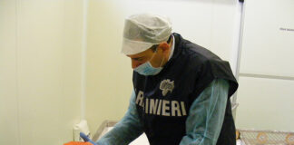 I NAS di Parma in azione a Modena