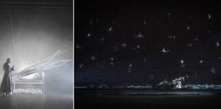 “Natura Dèi Teatri 2024”, a Parma XXVIII edizione del festival di Lenz