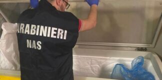 NAS, sanzionati due locali a Parma