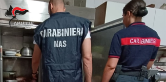 I Nas di parma sequestra 37kg di carne di cinghiale in provincia di Reggio Emilia