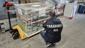 Controlli dei NAS di Parma: irregolarità in negozi e ambulatori per animali da compagia. Sanzioni e sequestri