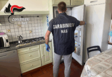 Controlli nelle strutture per anziani. I NAS di Parma intensificano la vigilanza nel periodo estivo