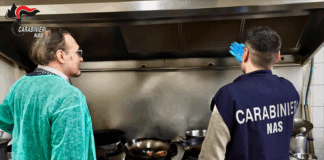 Controlli dei NAS a Parma e provincia: elevate sanzioni per oltre 11mila euro