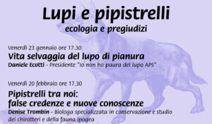 A Parma ciclo di incontri intitolato “Lupi e pipistrelli, ecologia e pregiudizi”