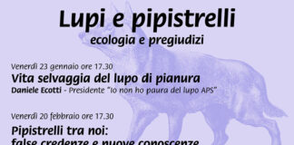 A Parma ciclo di incontri intitolato “Lupi e pipistrelli, ecologia e pregiudizi”