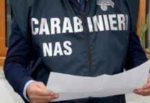 NAS di Parma, rilevate irregolarità igienico-sanitaria in una Casa per Anziani