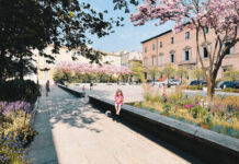 Piazzale Borri cambia volto con il Consorzio Forestale KilometroVerdeParma